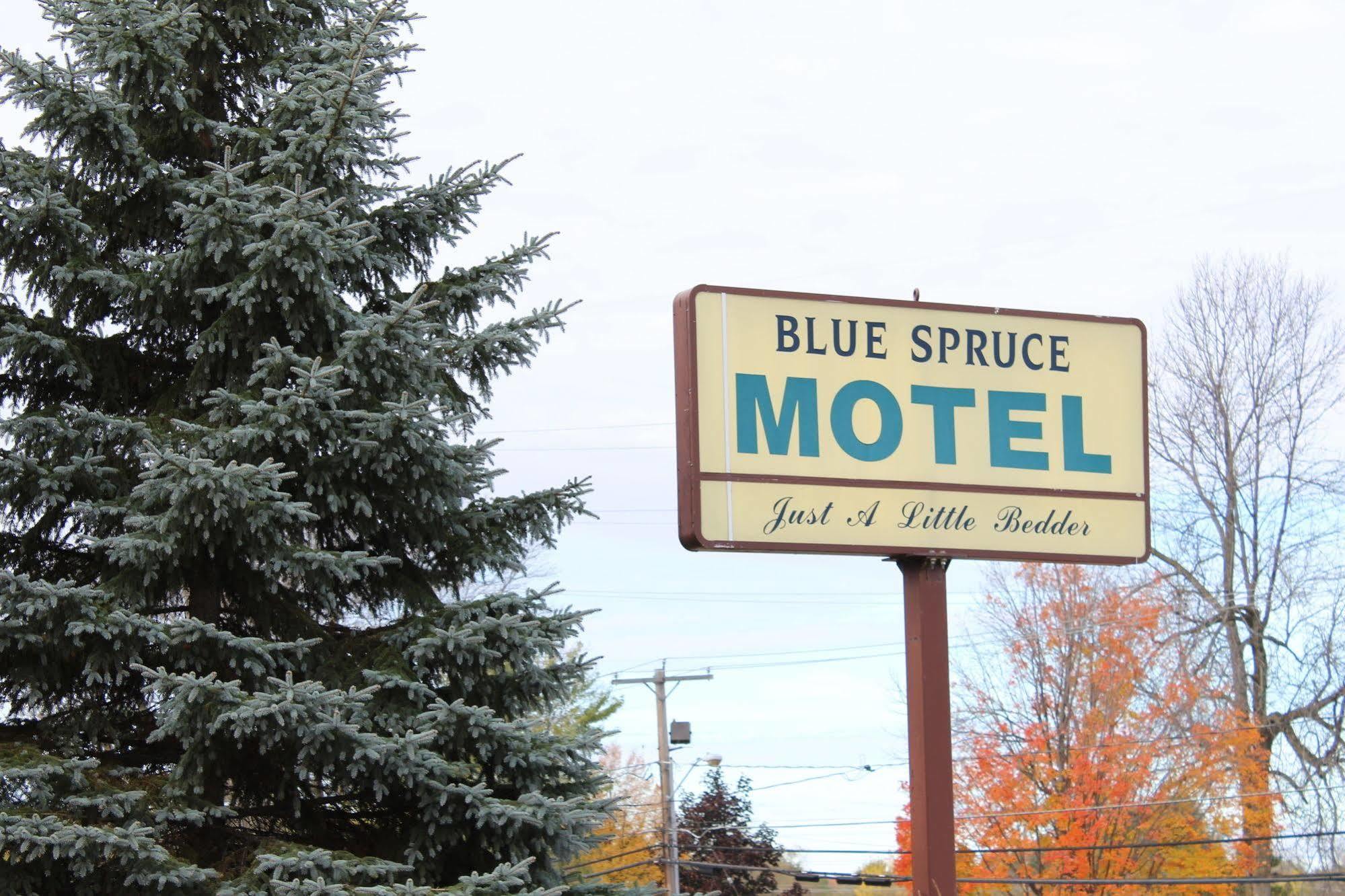 Blue Spruce Motel Massena Luaran gambar